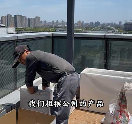 花卉租擺方案