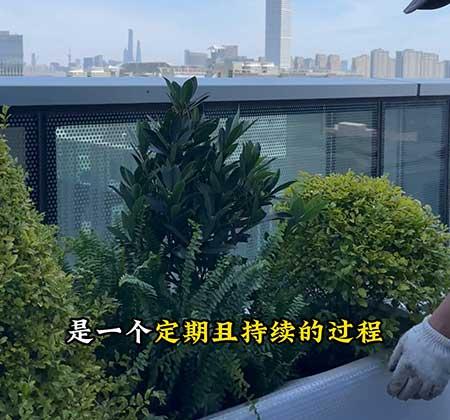 花卉租擺方案