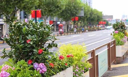 景觀養(yǎng)護(hù)